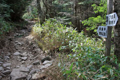 蓼科山