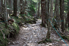 蓼科山