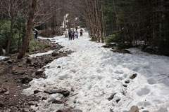 蓼科山