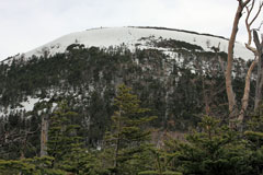蓼科山