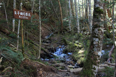 甲武信ヶ岳