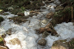 甲武信ヶ岳