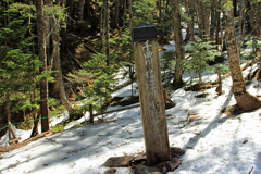 甲武信ヶ岳
