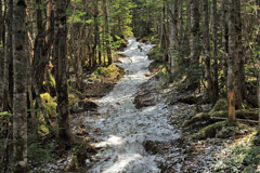 甲武信ヶ岳