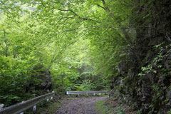 庚申山