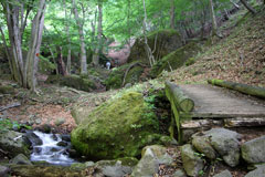 庚申山