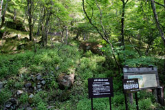 庚申山