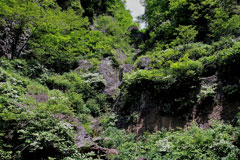 庚申山