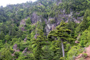 庚申山
