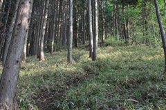 黒滝山