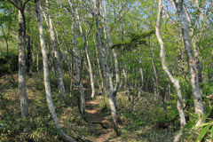 黒滝山