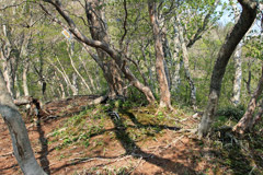 黒滝山