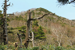 黒滝山
