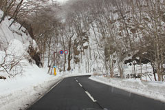戦場ヶ原
