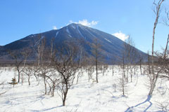 戦場ヶ原