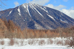 戦場ヶ原