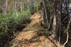 四郎岳・燕巣山