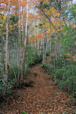 四郎岳・燕巣山