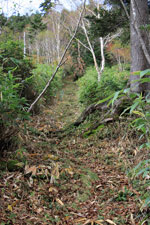 四郎岳・燕巣山