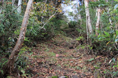 四郎岳・燕巣山