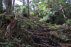 四郎岳・燕巣山