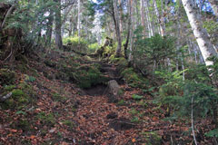 四郎岳・燕巣山