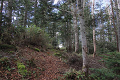 四郎岳・燕巣山
