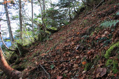 四郎岳・燕巣山