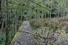 四郎岳・燕巣山