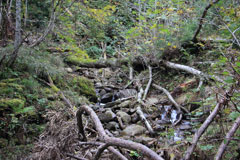 四郎岳・燕巣山