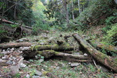 四郎岳・燕巣山