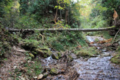 四郎岳・燕巣山