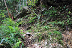 四郎岳・燕巣山