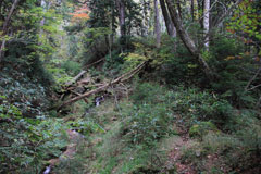 四郎岳・燕巣山