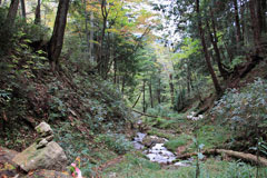 四郎岳・燕巣山