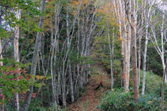 四郎岳・燕巣山