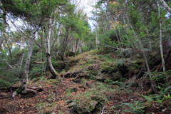 四郎岳・燕巣山