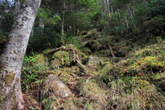 四郎岳・燕巣山