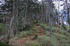 四郎岳・燕巣山