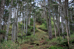 四郎岳・燕巣山