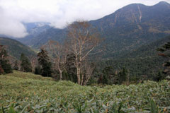 四郎岳・燕巣山