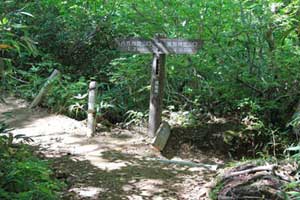 八方台コースを下り、銅沼方面に分岐する 磐梯山(裏磐梯スキー場コース)