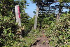 笠ヶ岳（尾瀬）