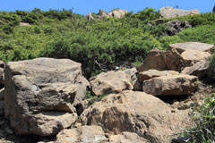 笠ヶ岳（尾瀬）