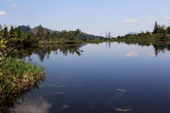 笠ヶ岳（尾瀬）