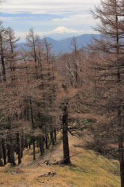 雲取山