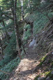 雲取山
