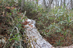 持丸山