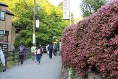 高尾山