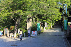 高尾山